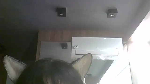 SkinnyKitten webcam