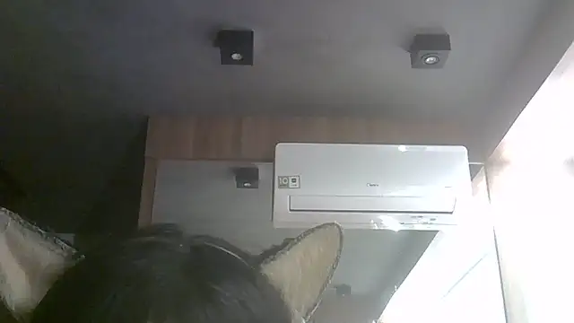SkinnyKitten webcam