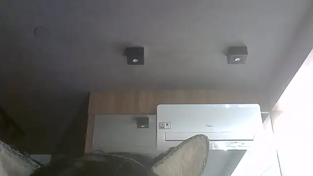 SkinnyKitten webcam