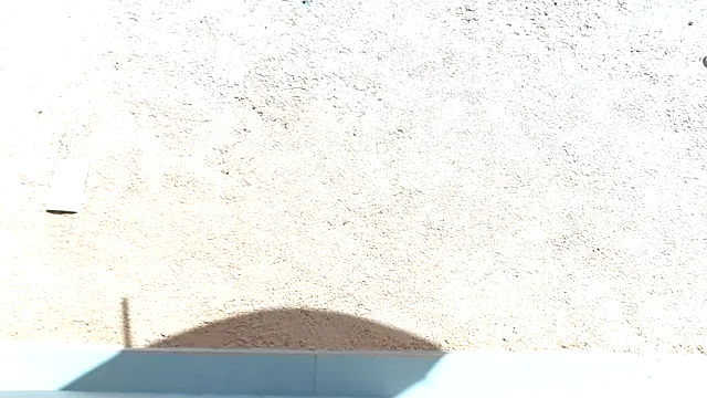 3littles webcam