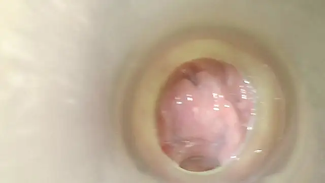 karol_stom