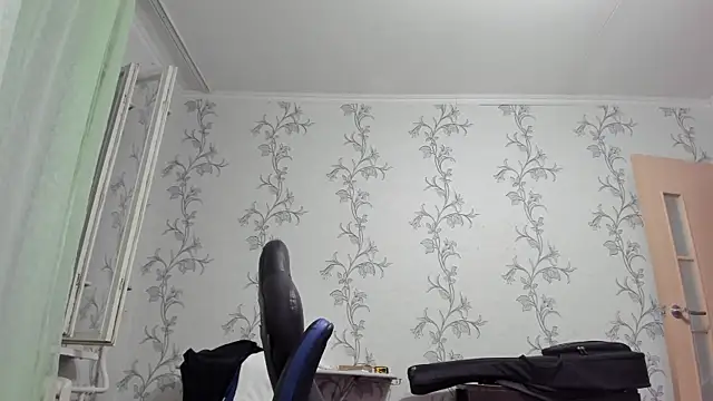 SanFrantsisko webcam