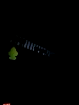 Edgingheaven69 webcam