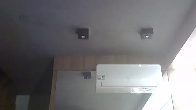 SkinnyKitten webcam