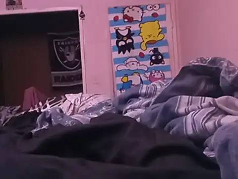 Blkstylion webcam