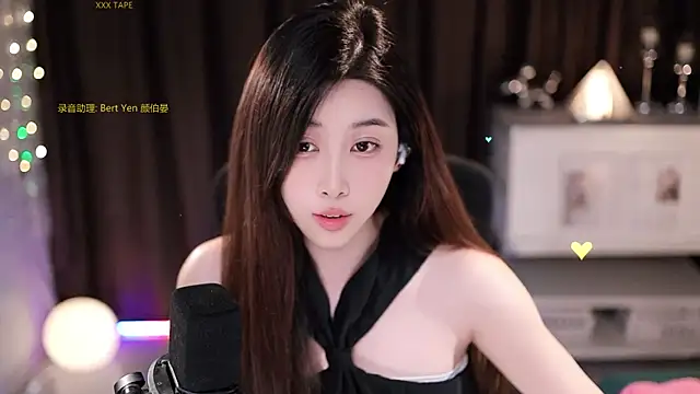 SleepArtist webcam