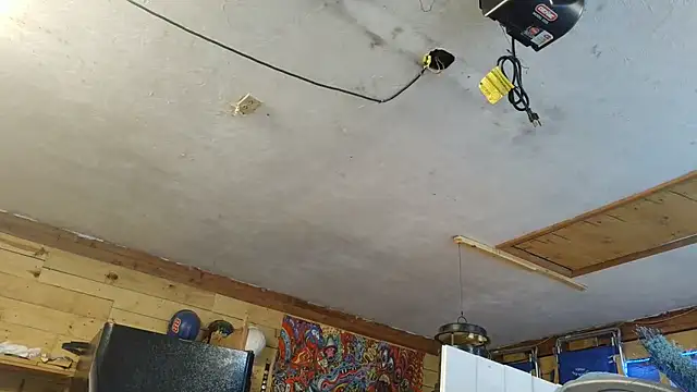 Buffshagswell webcam