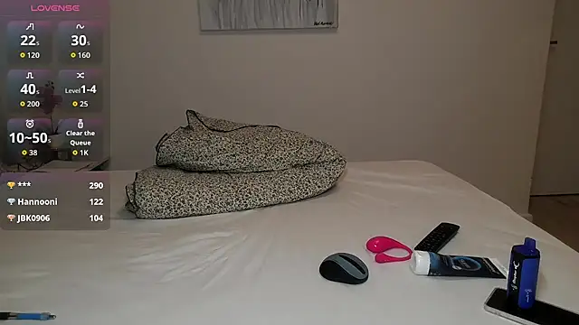 HiddenPearl webcam