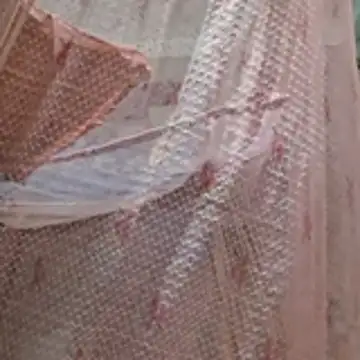 Riya45326 webcam
