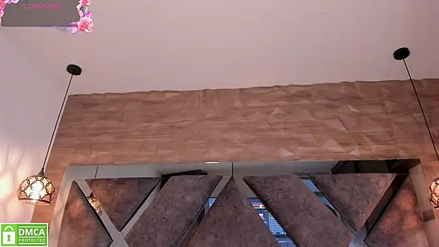 Rose__Evans__ webcam