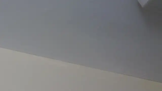 LeiaHuk webcam