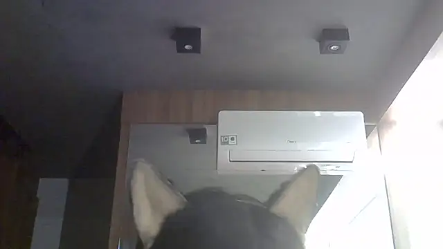 SkinnyKitten webcam