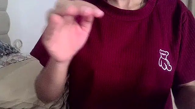 Mini_Meera webcam