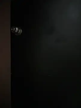 Sasha-firee webcam