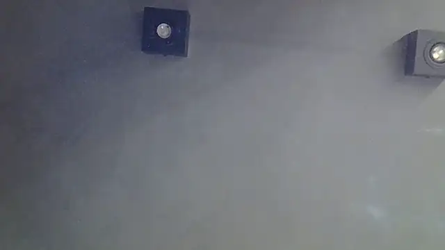 SkinnyKitten webcam