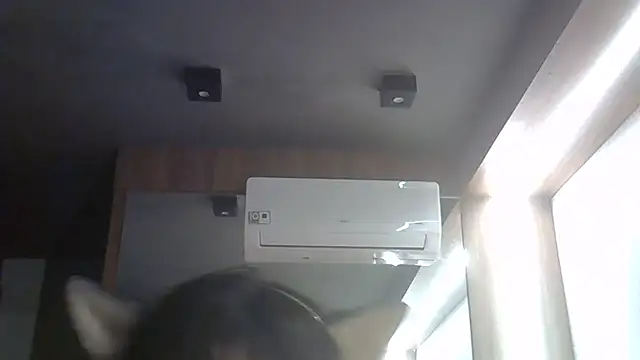 SkinnyKitten webcam
