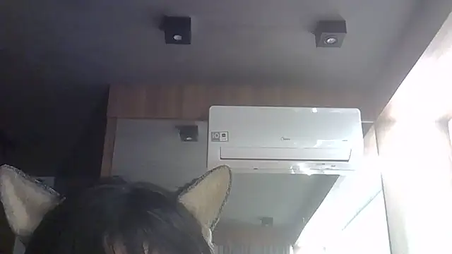 SkinnyKitten webcam
