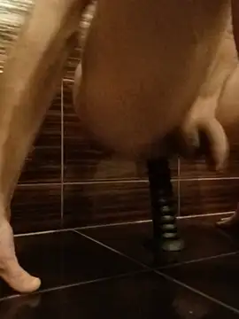 assRider21cm webcam