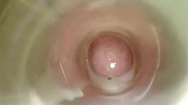 karol_stom live cam on StripChat