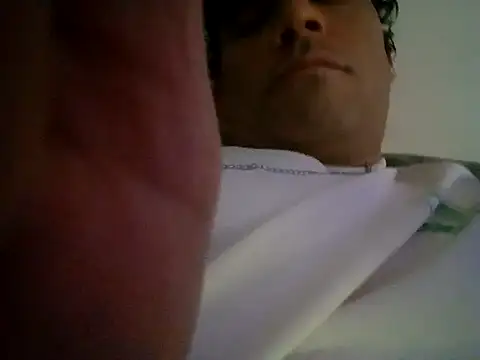 wa379 webcam
