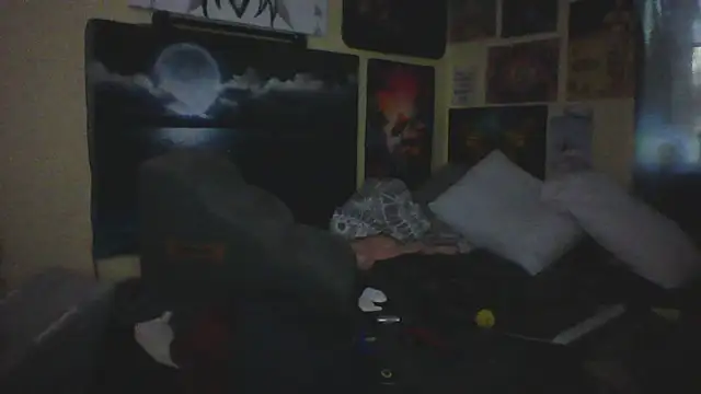 Mic_Oxinner webcam