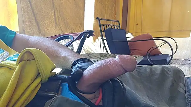 PNWbwc webcam