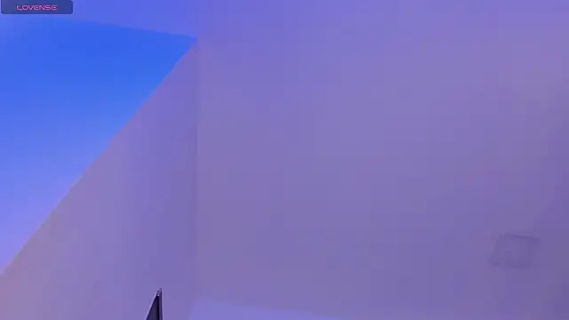 Sebax_Young webcam