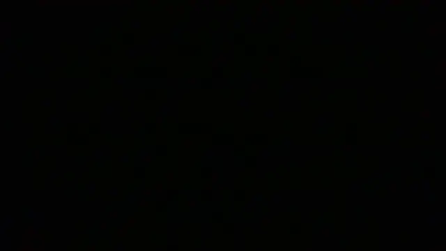 NuttyProfesir webcam