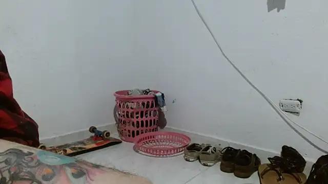 sk8-sir webcam