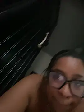 NV-Nikoll webcam