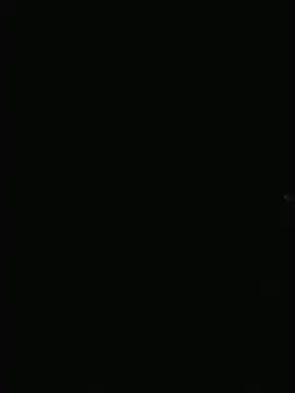 stibsas webcam