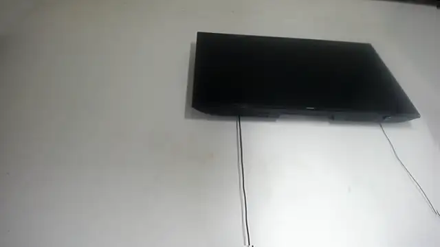 Fox_Loves webcam