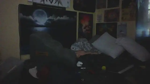 Mic_Oxinner webcam