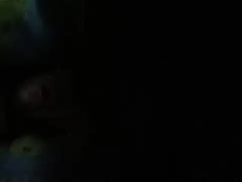 Ktosik88 webcam