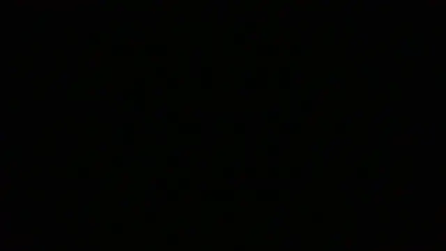 NuttyProfesir webcam