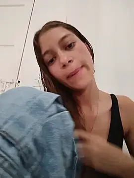 Vanneskk webcam