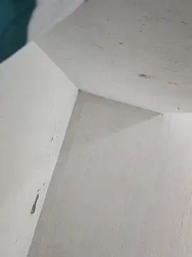 lunaywolfgray webcam