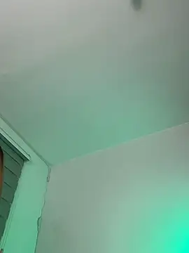 holaRosa webcam