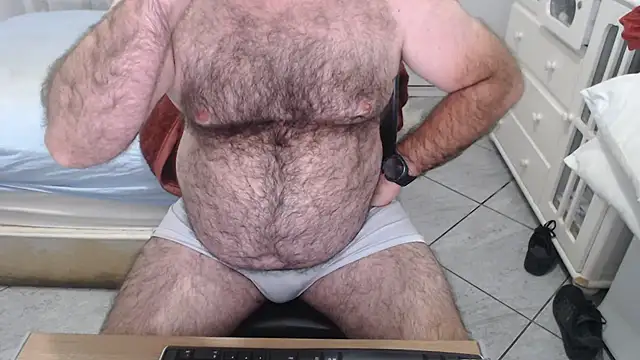 MysterBearMG webcam