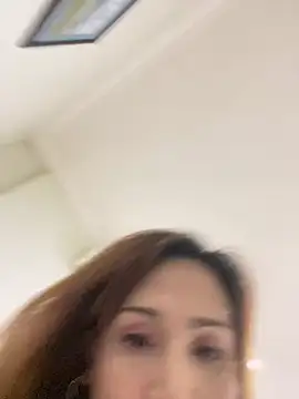 Sanieku webcam