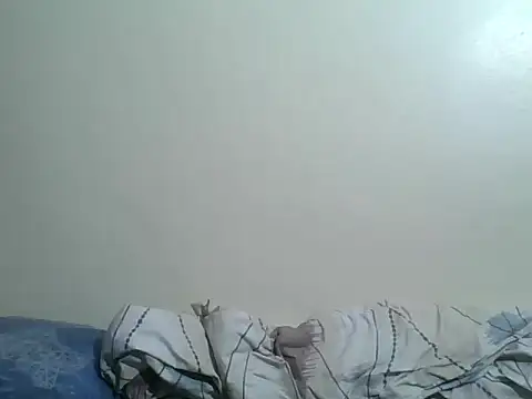 monlight_ webcam