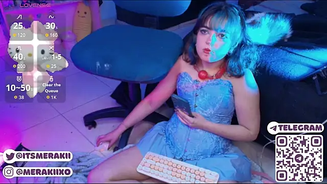 meraki_fraise webcam