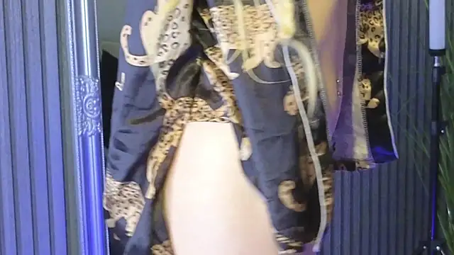 KarmaArms webcam