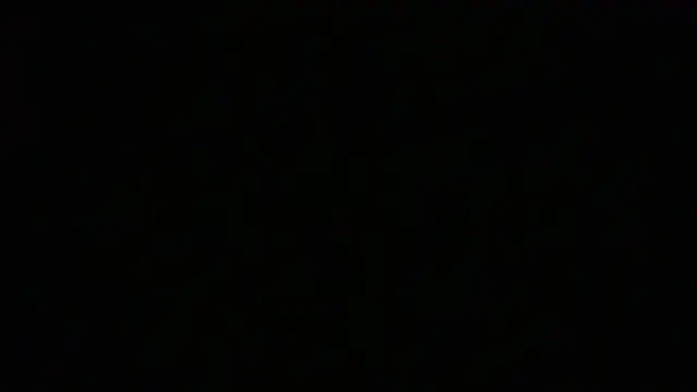 NuttyProfesir webcam