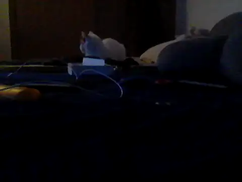 Silencio26 webcam
