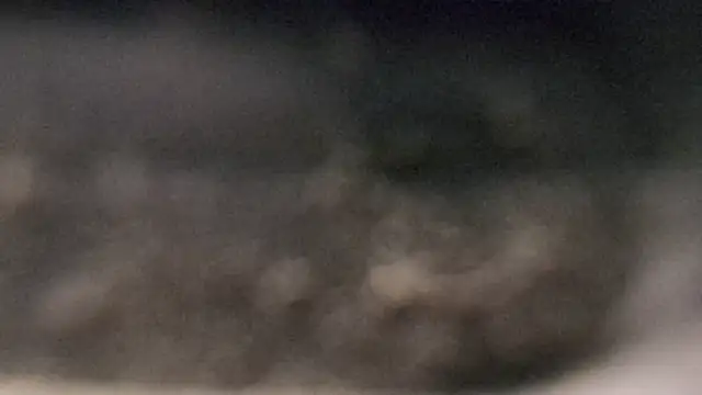 YourHotGreg webcam
