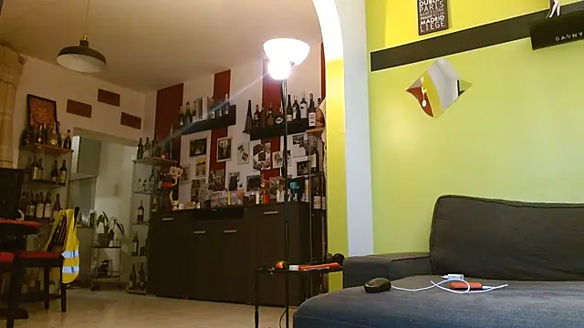 zaking22cm webcam