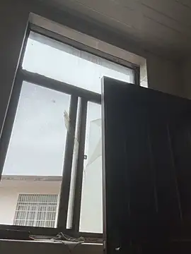 daaqnn webcam