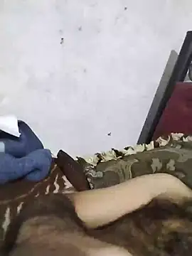 salimbasha webcam