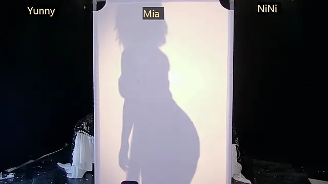 MiNi-U webcam